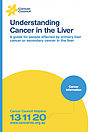 Liver Cancer